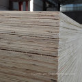 Birch Plywood Poplar Plywood Price